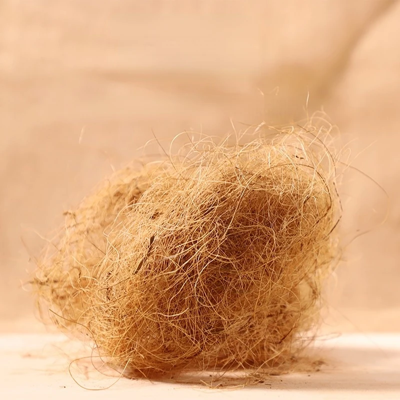 100g入り、鳥用のココナッツ繊維製、緩やかな質感の飼育用砂 - Substrate Coconut Fiber のレビューと価格
